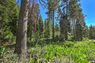 1573 Pebble Beach Dr, South Lake Tahoe, CA 96150 - Photo 26