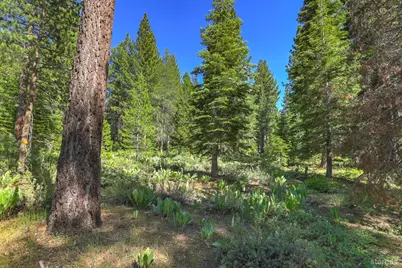 1573 Pebble Beach Drive, South Lake Tahoe, CA 96150 - Photo 30