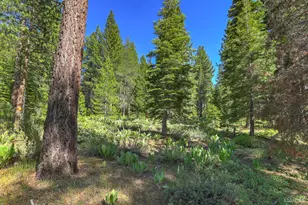 1573 Pebble Beach Dr, South Lake Tahoe, CA 96150 - Photo 30
