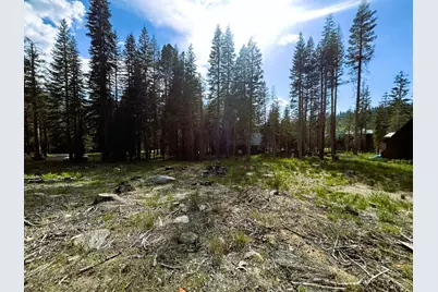 7248 Sierra Pines Road, Twin Bridges, CA 95735 - Photo 2