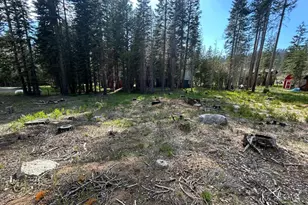 7248 Sierra Pines Rd, Twin Bridges, CA 95735 - Photo 1