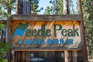 1390 Ski Run Blvd, South Lake Tahoe, CA 96150 - Photo 2