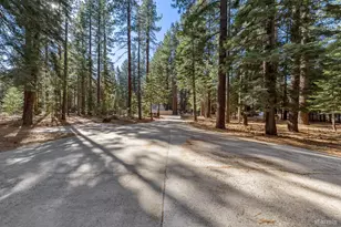 1259 Bonanza Ave, South Lake Tahoe, CA 96150 - Photo 44