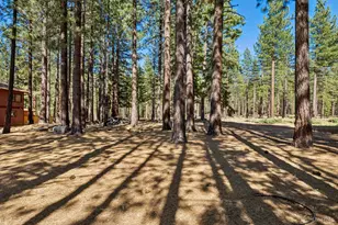 1834 Cold Creek Ct, South Lake Tahoe, CA 96150 - Photo 42