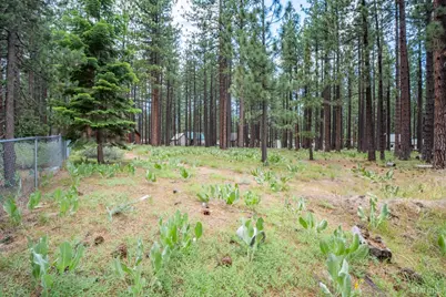 1126 Johnson Boulevard, South Lake Tahoe, CA 96150 - Photo 38