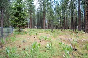 1126 Johnson Blvd, South Lake Tahoe, CA 96150 - Photo 38
