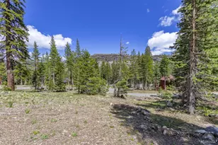 33795 Danburg Dr, Kirkwood, CA 95646 - Photo 1