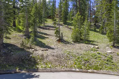 33795 Danburg Drive, Kirkwood, CA 95646 - Photo 4