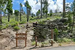 19 Sciots Trail, Twin Bridges, CA 95735 - Photo 4