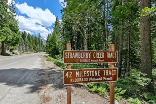 19 Sciots Trail, Twin Bridges, CA 95735 - Photo 2