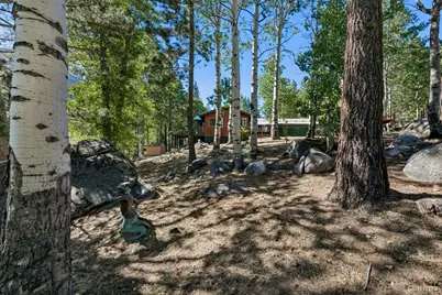 2990 State Highway 89, South Lake Tahoe, CA 96150 - Photo 12