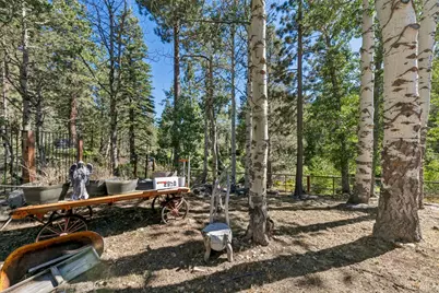 2990 State Highway 89, South Lake Tahoe, CA 96150 - Photo 10