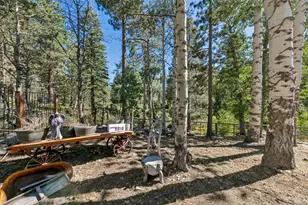 2990 State Hwy 89, South Lake Tahoe, CA 96150 - Photo 10