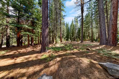 1492 Mount Rainier Drive, South Lake Tahoe, CA 96150 - Photo 8