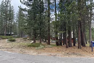 2900 Santa Claus Dr, South Lake Tahoe, CA 96150 - Photo 1