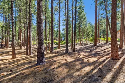 1506 Bonita Road, South Lake Tahoe, CA 96150 - Photo 12