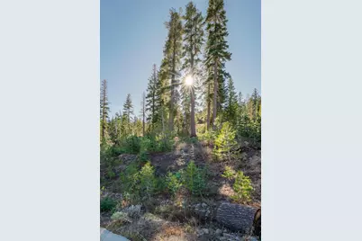 14 The Palisades Unit #4, Kirkwood, CA 95646 - Photo 10