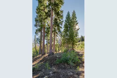 14 The Palisades Unit #4, Kirkwood, CA 95646 - Photo 8