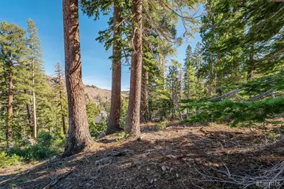14 The Palisades Unit #4, Kirkwood, CA 95646 - Photo 4