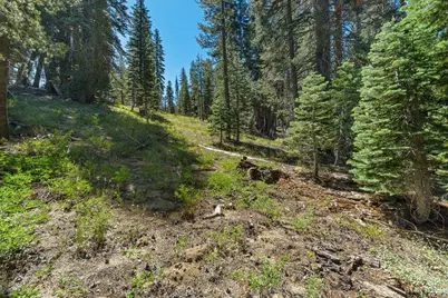 20414 US Highway 50, South Lake Tahoe, CA 96155 - Photo 8