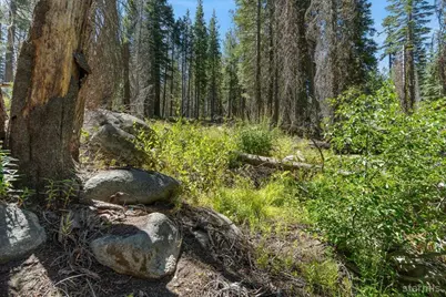20414 US Highway 50, South Lake Tahoe, CA 96155 - Photo 12