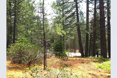 1389 Pioneer Trail, South Lake Tahoe, CA 96150 - Photo 8