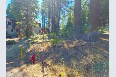 1389 Pioneer Trail, South Lake Tahoe, CA 96150 - Photo 6