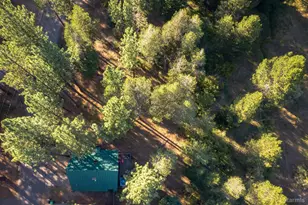 1419 Chinquapin Dr, South Lake Tahoe, CA 96150 - Photo 22