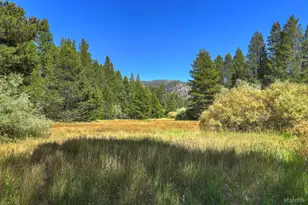 1419 Chinquapin Dr, South Lake Tahoe, CA 96150 - Photo 26