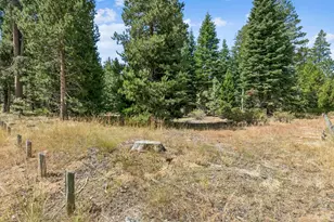 1234 E San Bernardino Ave, South Lake Tahoe, CA 96150 - Photo 64