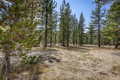 2520 Blitzen Road, South Lake Tahoe, CA 96150 - Photo 10
