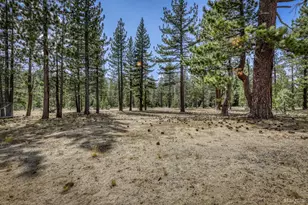 2520 Blitzen Rd, South Lake Tahoe, CA 96150 - Photo 1