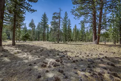 2520 Blitzen Road, South Lake Tahoe, CA 96150 - Photo 2