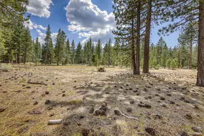 2520 Blitzen Road, South Lake Tahoe, CA 96150 - Photo 12