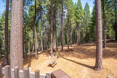26913 Woodland Road, Pioneer, CA 95666 - Photo 44