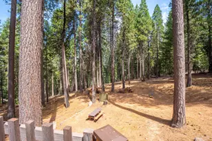 26913 Woodland Rd, Pioneer, CA 95666 - Photo 44