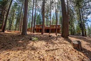 26913 Woodland Rd, Pioneer, CA 95666 - Photo 54