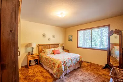 26913 Woodland Road, Pioneer, CA 95666 - Photo 30