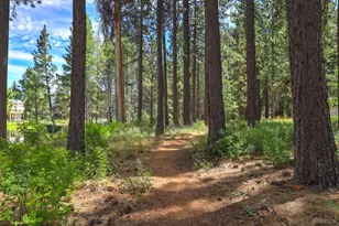 593 Tahoe Island Dr, South Lake Tahoe, CA 96150 - Photo 20