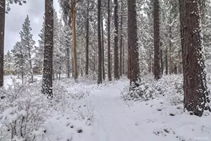 593 Tahoe Island Dr, South Lake Tahoe, CA 96150 - Photo 20