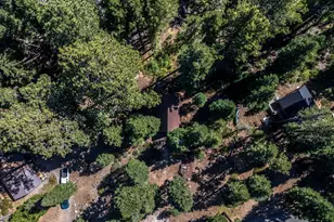 1750 Spring Creek Rd, South Lake Tahoe, CA 96150 - Photo 4