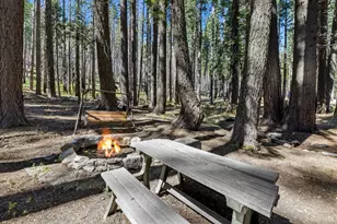 17771 US Hwy 50, Twin Bridges, CA 95735 - Photo 6