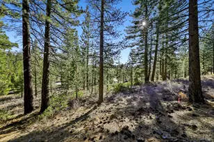 1752 Southern Pines Dr, South Lake Tahoe, CA 96150 - Photo 10