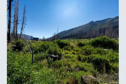 19878 US Highway 50, Twin Bridges, CA 95735 - Photo 14