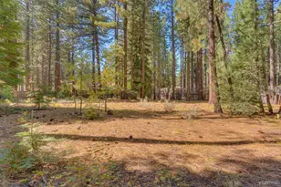 1194 Winnemucca Ave, South Lake Tahoe, CA 96150 - Photo 20