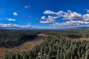 2440 Cougar Trail, South Lake Tahoe, CA 96150 - Photo 32