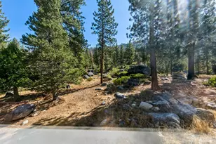 3025 Christmas Valley Rd, South Lake Tahoe, CA 96150 - Photo 2