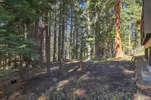1468 June Way, South Lake Tahoe, CA 96150 - Photo 78