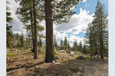2060 Huckleberry Heights, Twin Bridges, CA  - Photo 6