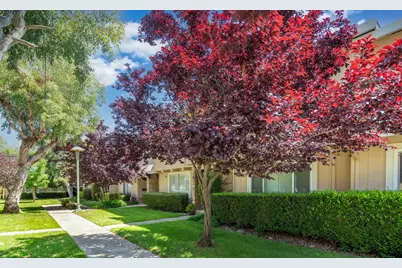 10019 Dove Oak Ct, Cupertino, CA 95014 - Photo 34